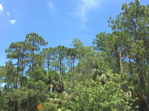 000 Ponderosa Road, Grant-Valkaria, FL 32950