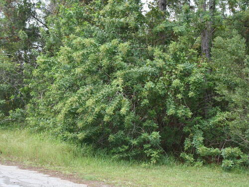 3154 Winchester Avenue SE, Palm Bay, FL 32909