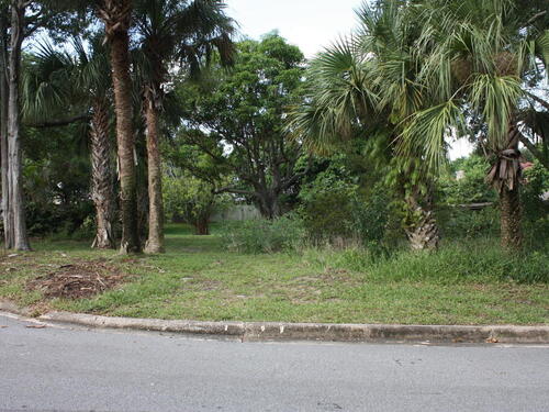 Mango Lane, Merritt Island, FL 32952