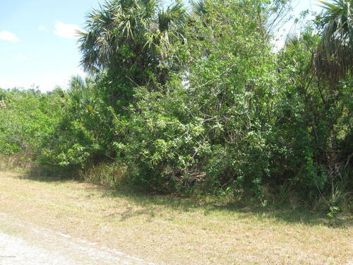 724 Parrotfish Street SW, Palm Bay, FL 32908