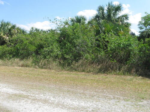 740 Parrotfish Street SW, Palm Bay, FL 32908