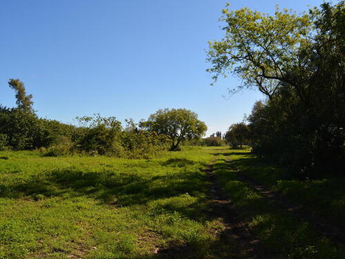 3900 N Courtenay Parkway, Merritt Island, FL 32953