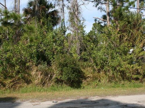 589 Lamon Street SW, Palm Bay, FL 32908