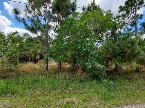 460 SW Frost Road SW, Palm Bay, FL 32908