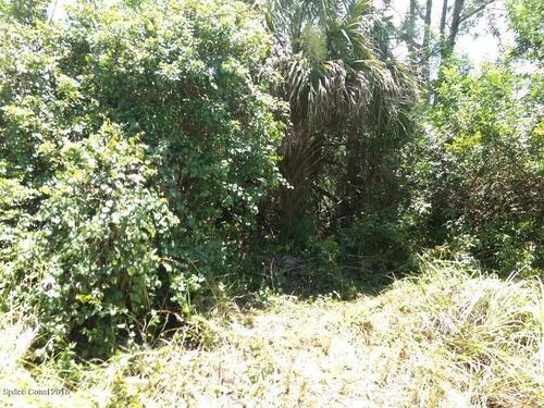 314 Falls Church Street SW, Palm Bay, FL 32909