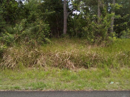 1013 Hammacher Avenue SW, Palm Bay, FL 32908