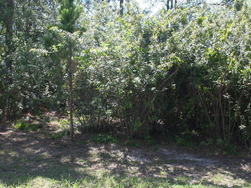 3078 Dagget Avenue SE, Palm Bay, FL 32909