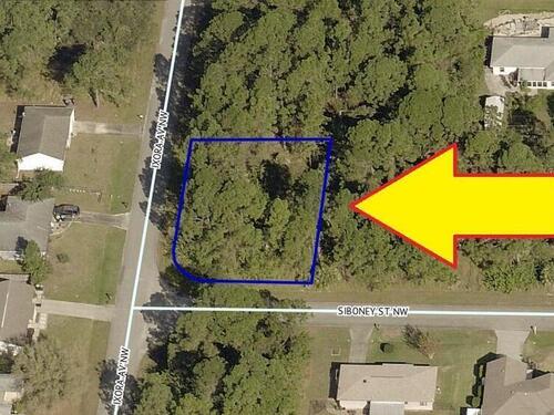 1195 S Corner Lot On Siboney Street NW, Palm Bay, FL 32907