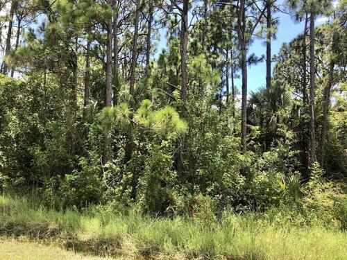 500 Thor Avenue SE, Palm Bay, FL 32909