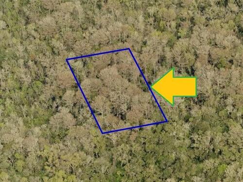 0000 No Access - Spanks Street, Mims, FL 32754