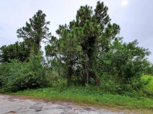 3150 Halcomb Avenue SE, Palm Bay, FL 32909