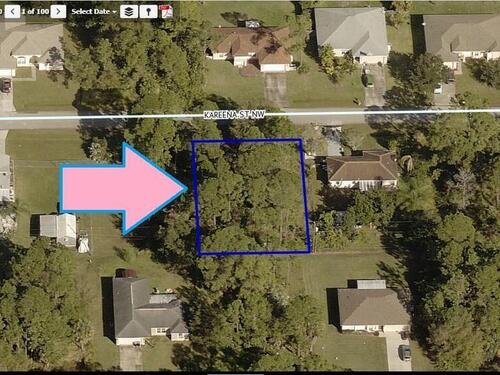 1180 Kareena Street NW, Palm Bay, FL 32907