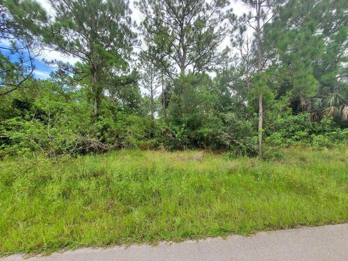 1126 SE Terry Road SE, Palm Bay, FL 32909