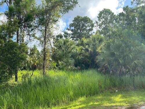 171 J T Sancho Street SW, Palm Bay, FL 32908