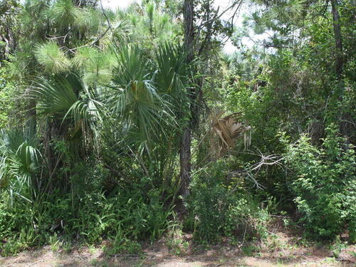 Lot 1 Laika Road SW, Palm Bay, FL 32908