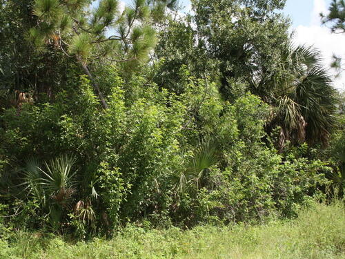 1366 Weiman Road SE, Palm Bay, FL 32909