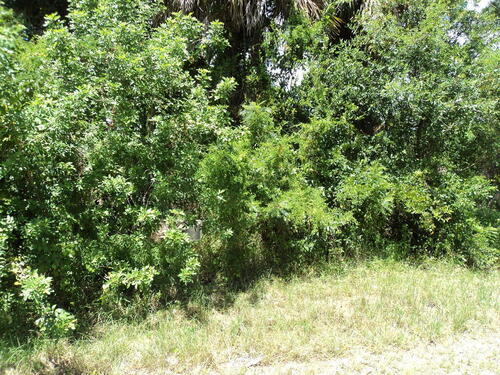 220 Alegriano Road NW, Palm Bay, FL 32907