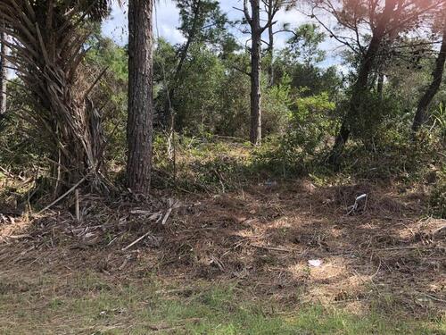 1662 SE Ricardo Street SE, Palm Bay, FL 32909