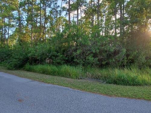 Treemont Ave/Santa Martia SW, Palm Bay, FL 32908