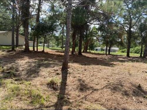 566 Ixora Avenue NW, Palm Bay, FL 32907