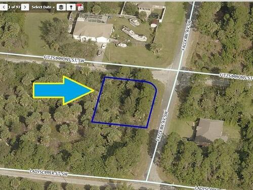 00000 Fitzsimmons/Falkirk Avenue Street SW, Palm Bay, FL 32908
