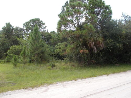 0000 Riverview Drive, Micco, FL 32976