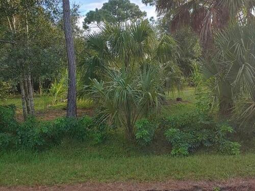 1420 SE Sandusky Street SE, Palm Bay, FL 32909