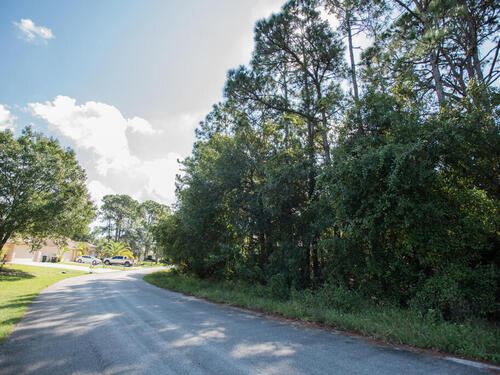 Steele Road SE, Palm Bay, FL 32909