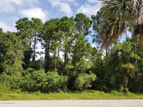 767 Merrimac Street SE, Palm Bay, FL 32909