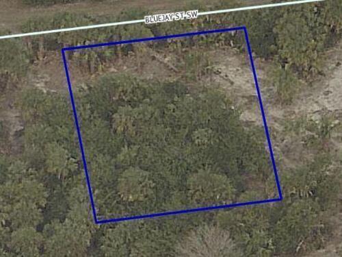 846 Bluejay Street SW, Palm Bay, FL 32908