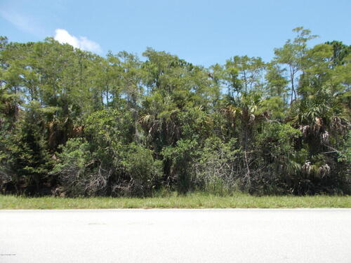 0000 Grant Road, Grant, FL 32949