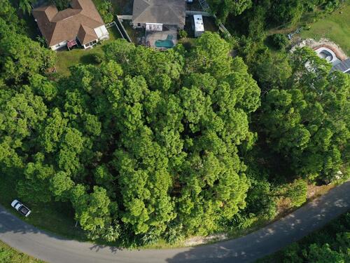 1781 Hydrangea Road NW, Palm Bay, FL 32907