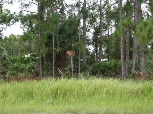 387 Sawyer Street SW, Palm Bay, FL 32908