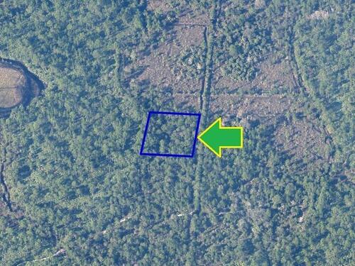 00000 No Access - West Of Eagles Avenue, Malabar, FL 32950