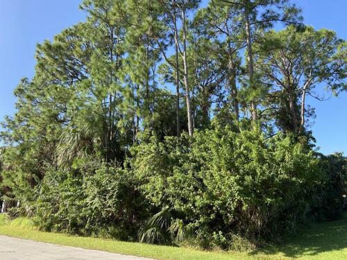 158 Crown Avenue NE, Palm Bay, FL 32907