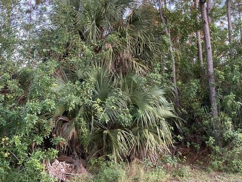 2343 Kentucky Drive SW, Palm Bay, FL 32908