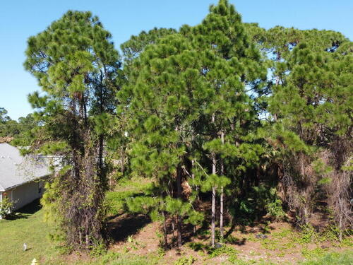 799 Airoso Road SE, Palm Bay, FL 32909