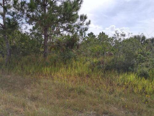 550 Saint Andre Boulevard SW, Palm Bay, FL 32908