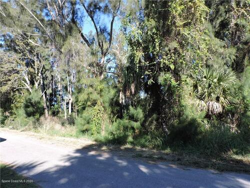 3740 Palm Avenue, Micco, FL 32976