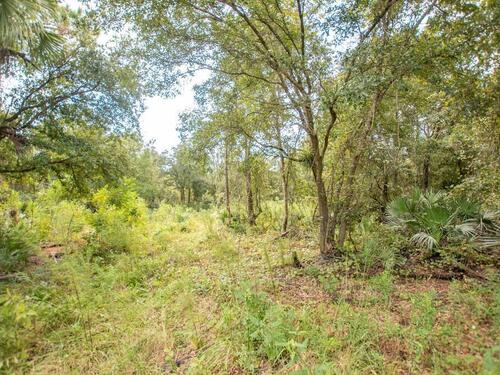 0000 Lloyd Street, Mims, FL 32754