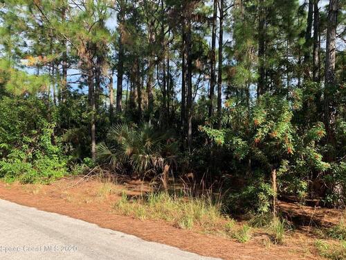 2647 RAVEN Avenue SE, Palm Bay, FL 32909