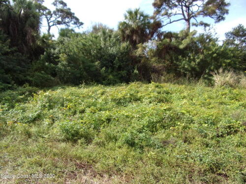 1478 Cypress Avenue, Melbourne, FL 32935