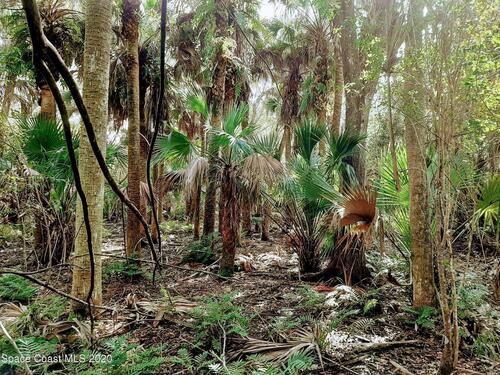 00 Chase Hammock Rd Road, Merritt Island, FL 32953