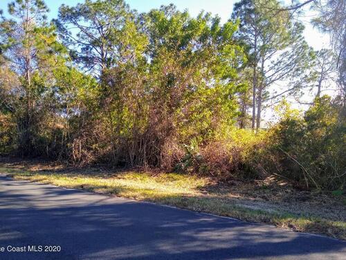 990 Brickell Street SE, Palm Bay, FL 32909