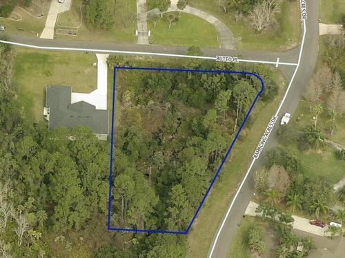 Rambling Acres And Buteo Place, Titusville, FL 32796