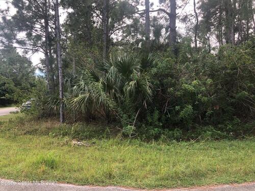 0000 Unknown Road, Palm Bay, FL 32908
