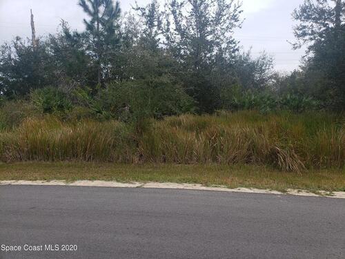 2993 Creech Avenue SE, Palm Bay, FL 32909