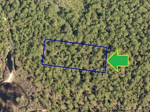 00000 No Access West Of  Eagles Avenue, Grant, FL 32949