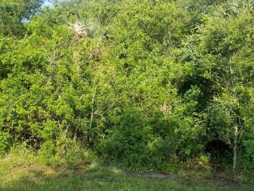 3208 Hummingbird Avenue SW, Palm Bay, FL 32908