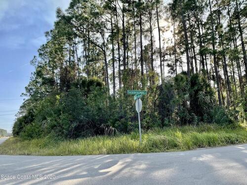 0000 Hagoplan Ave & Fredericksburk, Palm Bay, FL 32908